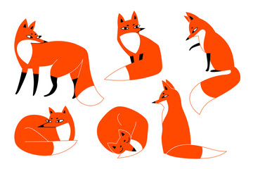 Vector foxes. Collection of red wild animals