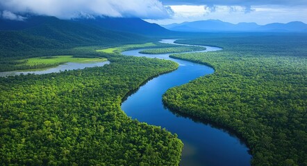 Fototapeta premium Daintree Australia. Aerial View of The Daintree Rainforest, Tropical Jungle in Queensland