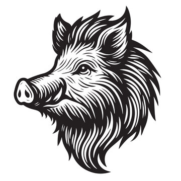 recommend clip art: line art of wild boar head cartoon vector