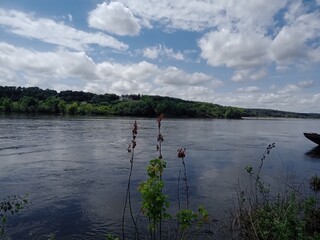 Bords de Loire à Gennes-Val-de-Loire, Maine et Loire, Centre Val de Loire, France