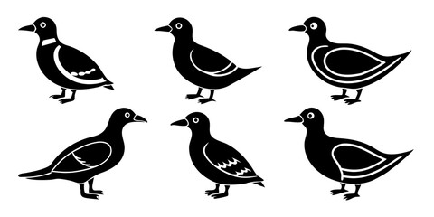 Set of Auklet icons silhouette vector art style illustration
