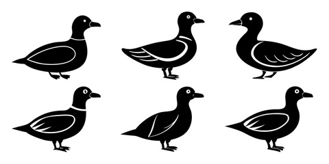 Set of Auklet icons silhouette vector art style illustration
