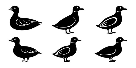 Set of Auklet icons silhouette vector art style illustration
