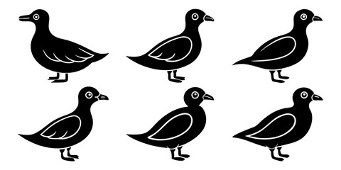 Set of Auklet icons silhouette vector art style illustration

