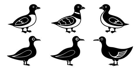 Set of Auklet icons silhouette vector art style illustration
