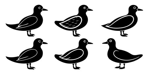 Set of Auklet icons silhouette vector art style illustration

