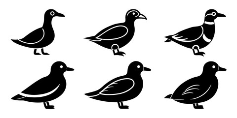Set of Auklet icons silhouette vector art style illustration

