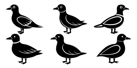 Set of Auklet icons silhouette vector art style illustration
