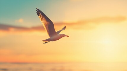 bird flying gracefully in the sunset, capturing the tranquil beauty of nature and freedom against a colorful sky.