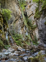 Image from Cheile Butii gorge, near Campu lui Neag, Hunedoara,  Romania