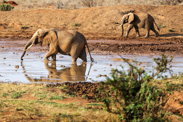 Kenya Africa © Magdalena