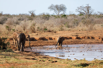 Kenya Africa © Magdalena