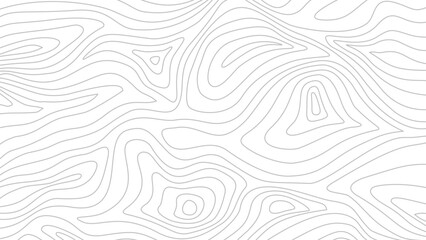 Contour background. Topographic map background. Topographic contour map background. Abstract wavy lines background. Background with topographic contours.