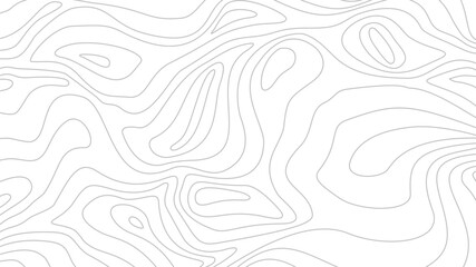 Fototapeta premium Contour background. Topographic map background. Topographic contour map background. Abstract wavy lines background. Background with topographic contours.