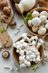 Fototapeta premium Assortment of various raw mushrooms on gray concrete background.