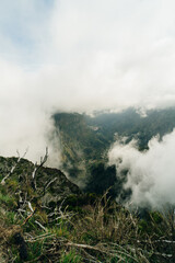 Fototapeta premium Magical misty green forest with waterfalls in Levada do Norte, Madeira island, Portugal. PR17 Pinaculo e Folhadal