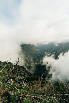 Magical misty green forest with waterfalls in Levada do Norte, Madeira island, Portugal. PR17 Pinaculo e Folhadal