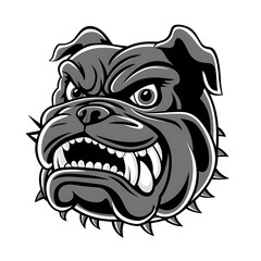 Bulldog head - angry vector image design. 