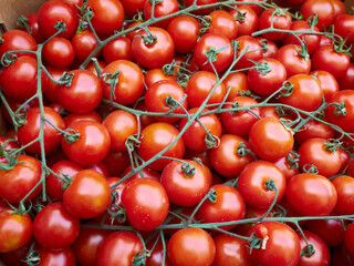 Fresh Cherry Tomatoes on sale at market in Palermo, Italy