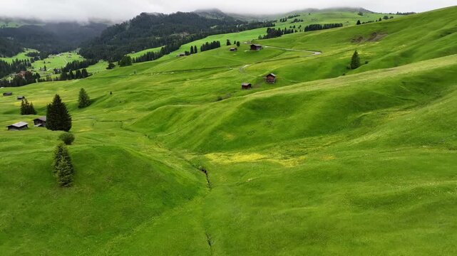 Aerial view of Alpe di Siusi with Sassolungo, Dolomites, Italy