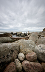 Coastal Landscape with Large Weathered Rocks and Driftwood under Dramatic Overcast Skies