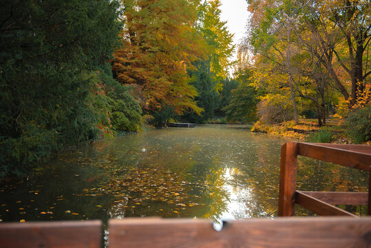 Lake in the autumn forest. Forest lake in autumn. Autumn forest landscape of the lake.