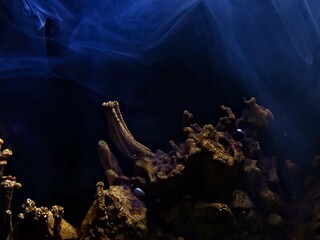 Fototapeta premium Rochefort - Visit the magnificent city of Rochefort on France's Atlantic coast