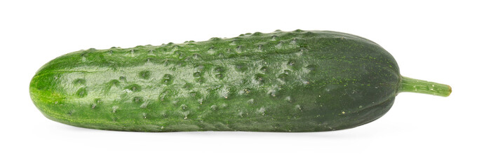 One fresh green cucumber isolated on white