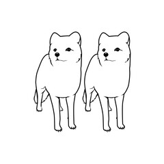 Line Art of the Pair White Cute Little Dog, Can use for Animal Illustration, Pictogram, Logo Gram, Apps, Website, Sticker, or Graphic Design Element. Vector Illustration