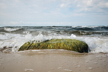 Seaweed-Covered Rock on Sandy Beach as Waves Crash in the Background under a Cloudy Sky on the danish island of Bornholm
