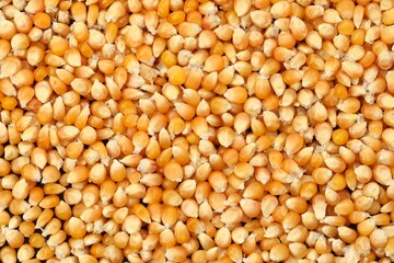 Fresh corn kernels as background, top view
