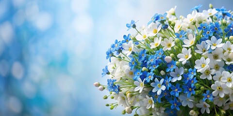Beautiful bouquet of white and blue small flowers with copy space for text, bouquet, flowers, white, blue