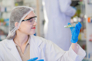 female scientist Experimenting through tubes of chemical liquids and plant samples. In a laboratory with test samples in the background in a modern laboratory By testing safely and cleanly.