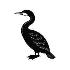 Obraz premium Black cormorant silhouette vector isolated on white background