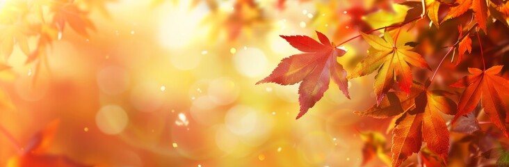 Vibrant red maple leaves with a warm, blurred background.