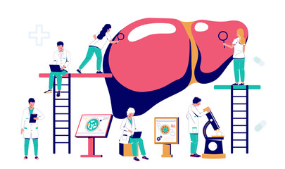 Man and woman doctor team providing human liver checkup for diagnosis of cancer or hepatitis disease doing laboratory test and examination vector illustration