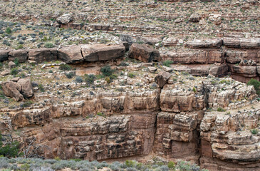 Rock detail captures the attention