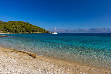 Wild rocky beach with palm trees on the Adriatic Sea on the Peljesac Peninsula Luka Beach