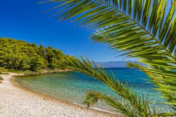Wild rocky beach with palm trees on the Adriatic Sea on the Peljesac Peninsula Luka Beach