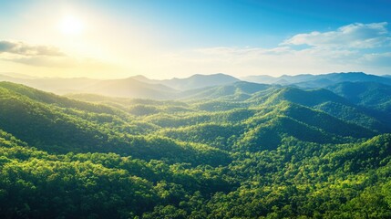 Naklejka premium Panoramic top view of rolling mountains with dense forests, clear sky area for copy space