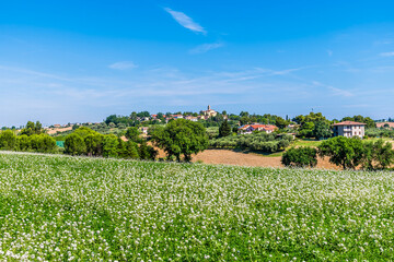 A view across the fields towards a small hilltop village approaching San Marino, Italy in summertime