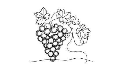 bunch of grapes on a vine line art drawing