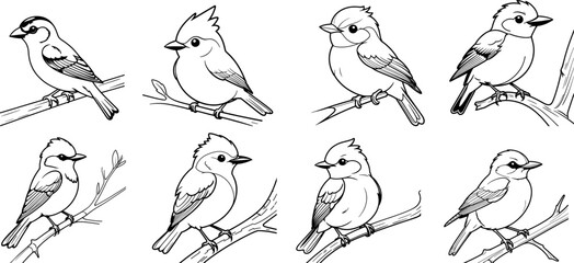 Vermilion Flycatcher bird hand drawing coloring page and outline vector design