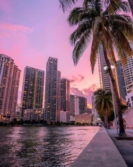 Fotografía de Miami / alta resolución/HD