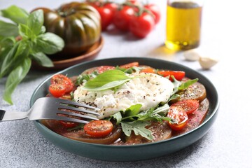 Delicious fresh burrata salad in bowl served on light gray textured table, closeup