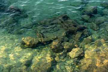Obraz premium stones in clear water, macro