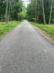 road in the forest