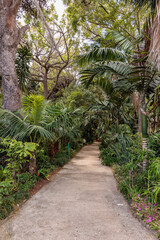 Naklejka premium Quinta Splendida Botanical Garden on the island of Madeira
