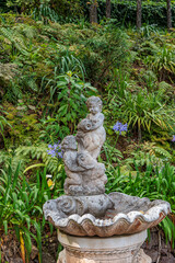 Obraz premium Walk around the Monte Palace Tropical Garden on the island of Madeira