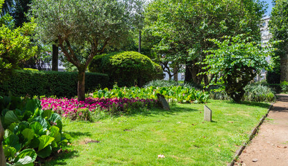 Vista de un jardín con diferentes flores y plantas